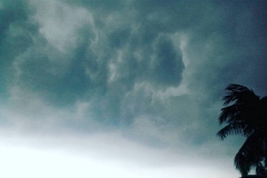 21105918_1425672937486073_5219636063056986128_n