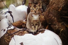 21192527_1427044340682266_4740498931130195930_n