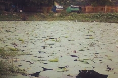 21231113_1427045337348833_1305329064771379302_n