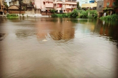 22549782_1471833946203305_1581574443734497048_n