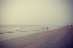 25594363_1534291963290836_1803266192064910894_n