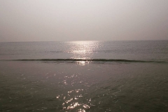 25995063_1534294189957280_8797485634839889625_n