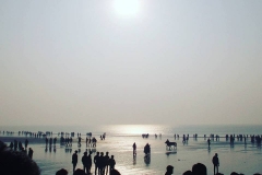 26000898_1534310413288991_4973490200634593966_n